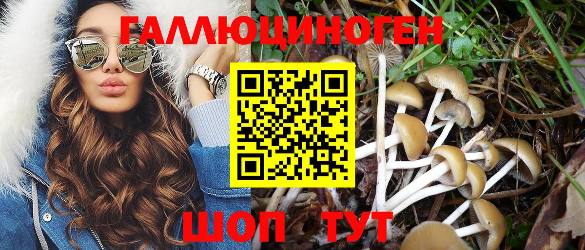 Галлюциногенные грибы прущие грибы  Вход с VPN  Кушва 