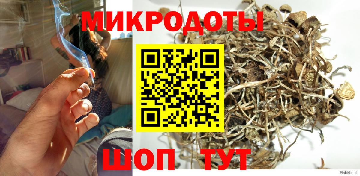 Псилоцибиновые грибы Psilocybine cubensis Кушва